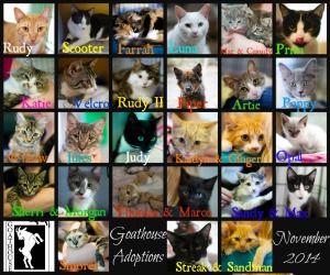 Goathouse Refuge Adoptions November 2014