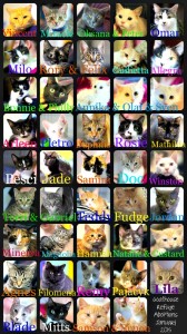 Goathouse adoptions January 2015