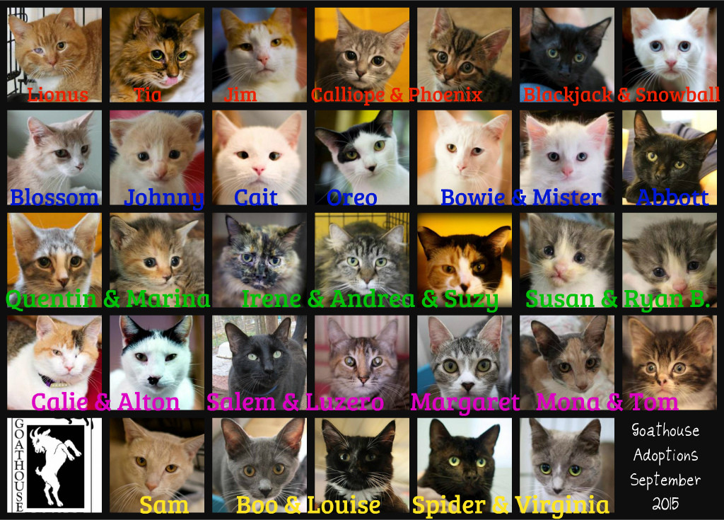 Goathouse adoptions September2015