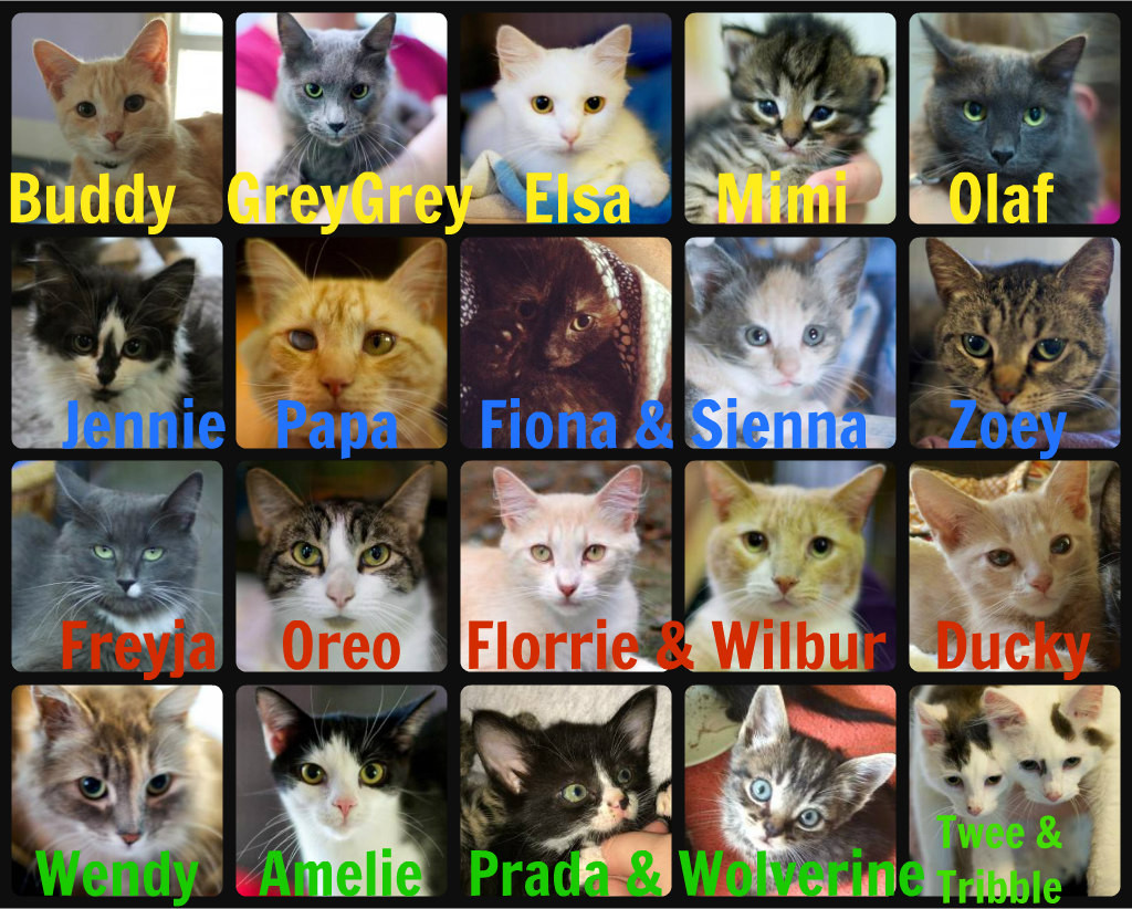 Goathouse Adoptions October 2015