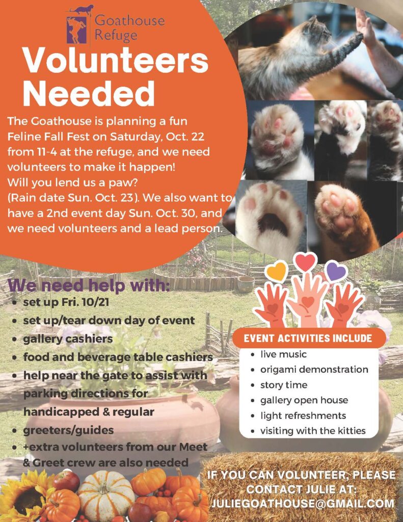 Necesitamos voluntarios y donaciones para el festival de otoño / We need  volunteers and donations for the fall festival!