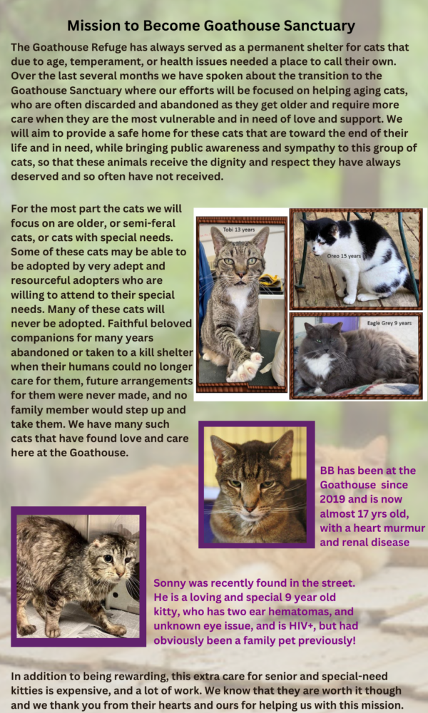 A Sanctuary For Aging And Special Kitties In Need - Goathouse Refuge